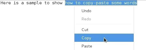 Copy and paste a text segment: copy the selection