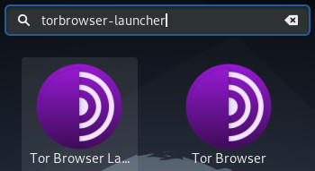 TorBrowser: launch installer