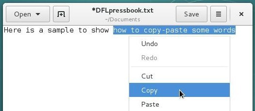 Copy and paste a text segment: copy the selection