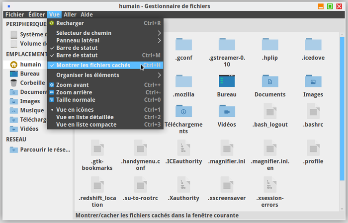Affichage des fichiers cachés dans Thunar sur Xfce
